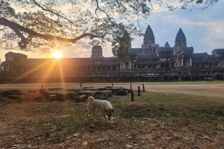 Vuthorng Angkor Guide